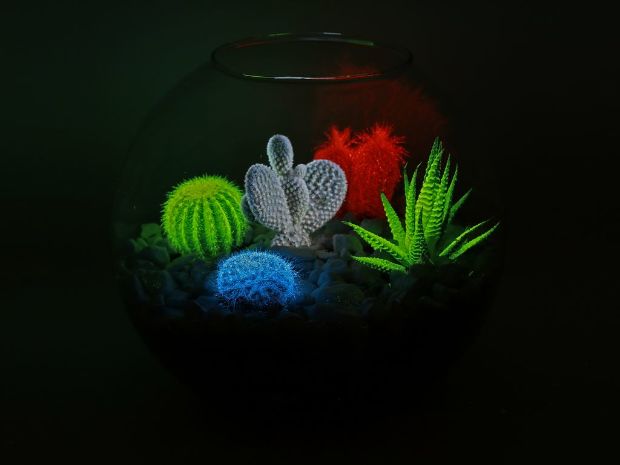 Forr&aacute;s: www.ripost.hu