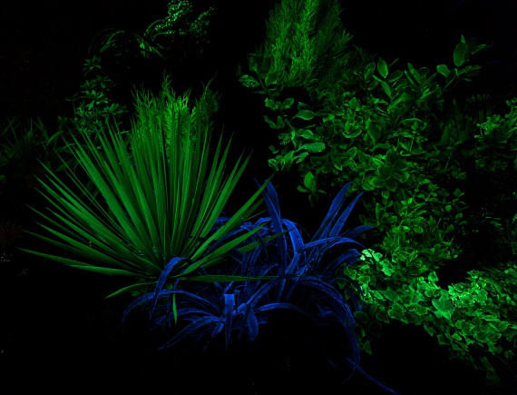 Forr&aacute;s: www.femina.hu